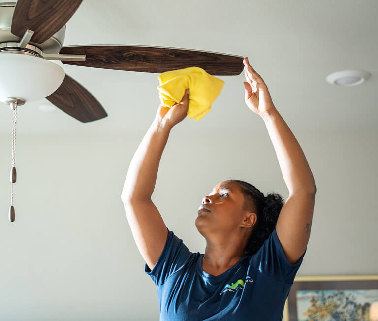 cleaner2-wiping-fan2