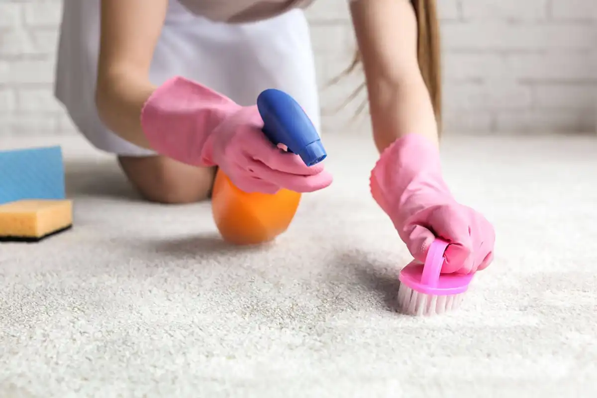 653133a251884da9433d5bee-identifying-the-source-of-the-smell