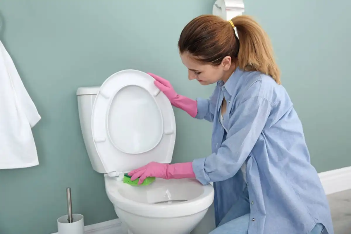 6581506d669ef45174635dd8-cleaning-toilet-bowl-stains