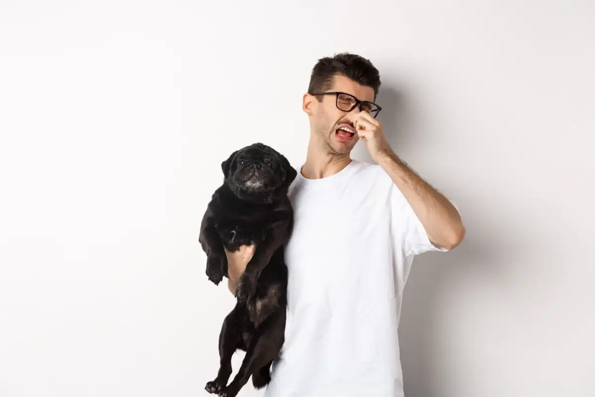 65a934e773f15ec26c6d2cd8-my-house-smell-like-dog